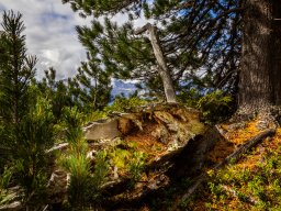Photowalk - Graukogel - Palfnersee